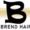 logo___